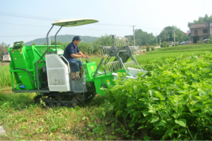 湖南省永利集团官网盛泰农业科技有限公司