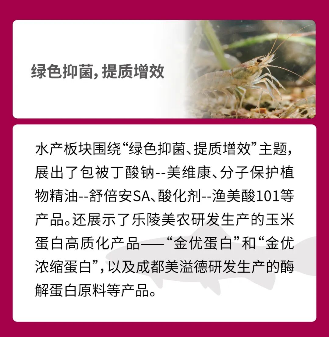 2369ab0065a21a3 2369ab0065a21a3