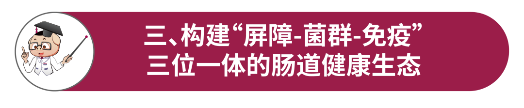 d60d79ba77c5fac d60d79ba77c5fac