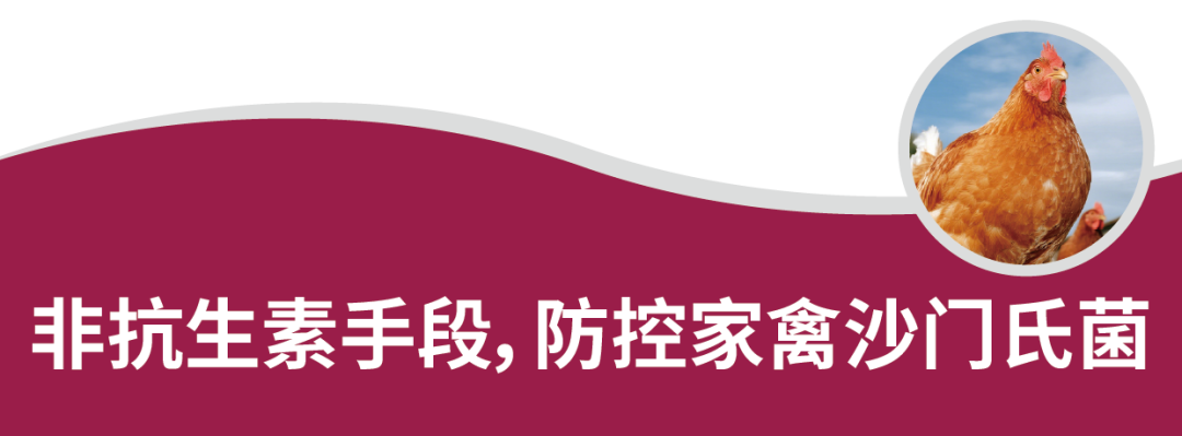 9521cde00a7457e 9521cde00a7457e